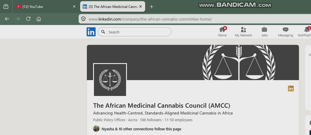Skärmavbildning av African Medicinal Cannabis Councils LinkedIn-sida med webbläsarens adressfält synligt: adressen innehåller the-african-cannabis-committee-home medan sidan visar namnet African Medicinal Cannabis Council.