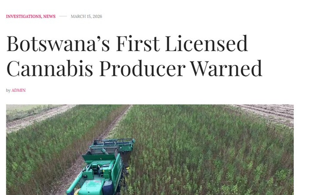 Skärmavbildning av The Botswana Gazettes artikel den 15 mars 2026: rubriken Botswana's First Licensed Cannabis Producer Warned, kategorin Investigations, News, och bylinen by ADMIN.