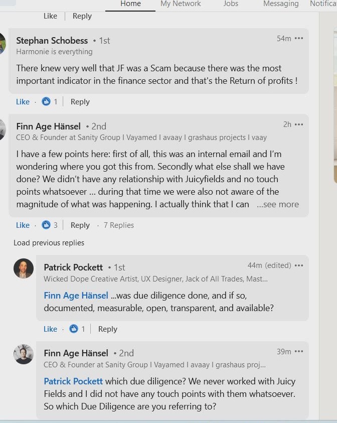 Screenshot of a LinkedIn thread in which Finn Age Hänsel, CEO and founder of Sanity Group, writes that this was an internal email and wonders where it came from.