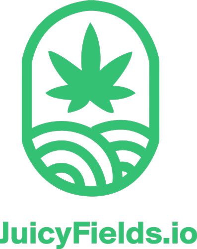 The JuicyFields logo in green and white, taken from ICBC's own website via the Internet Archive. The image sat in the sponsor box on the fair's Berlin page.